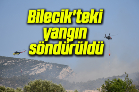 yangın