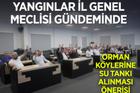 yangın