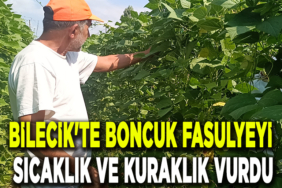 FASULYE MANŞET