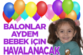 Havalanacak