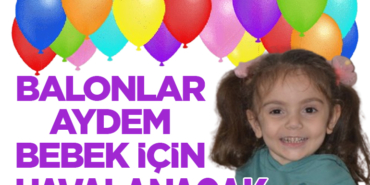 Havalanacak