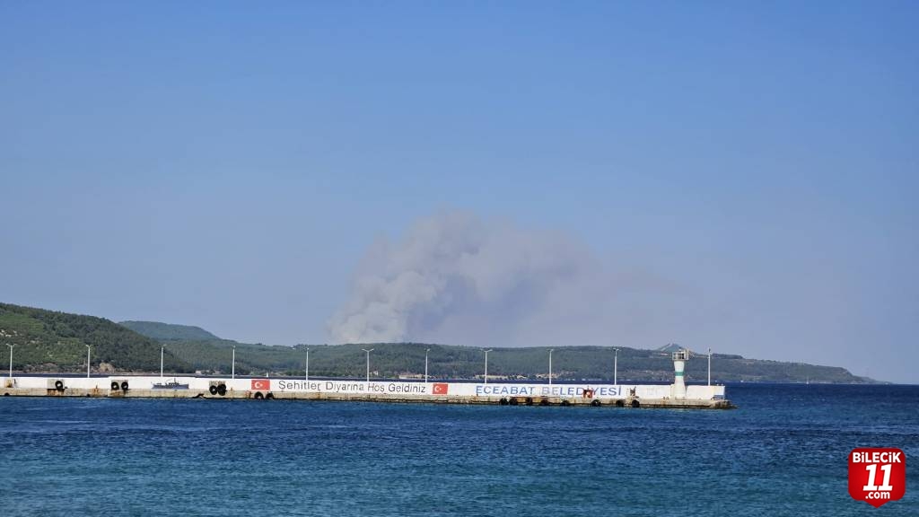 GÜNCELLEME - Çanakkale Gelibolu'da çıkan yangına müdahale ediliyor