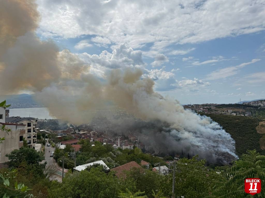 Kocaeli'de ağaçlık ve makilik alanda çıkan yangına müdahale ediliyor