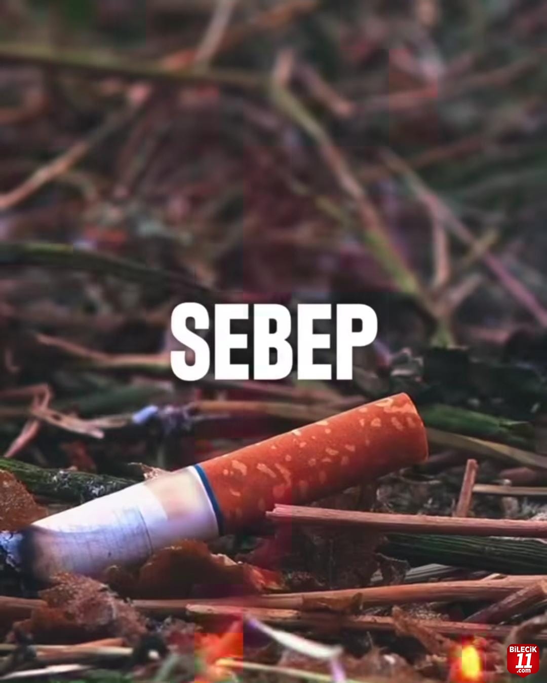 "Orman Bizim Geleceğimizdir, Nefesimizdir, Umudumuzdur"