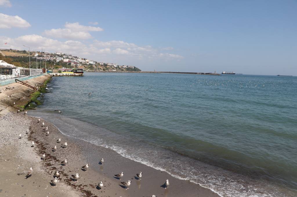 bilecik-haber_tekirdag-da-deniz-ulasimi-normale-dondu-93848.jpg