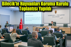 hayvan manşet son