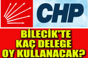 kaç delege manşet