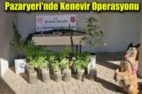 kenevir manşet
