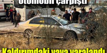 minubus manşet
