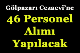 şablon