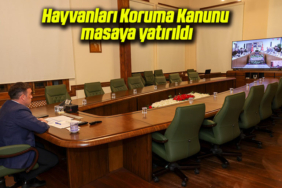 vali hayvannn hsdhsgdhs
