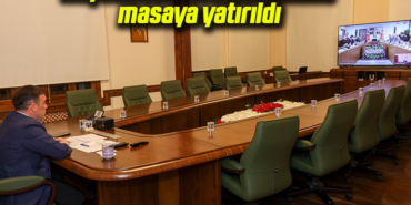 vali hayvannn hsdhsgdhs