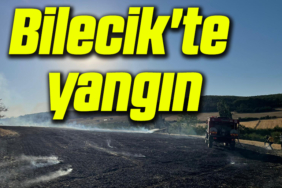 yan