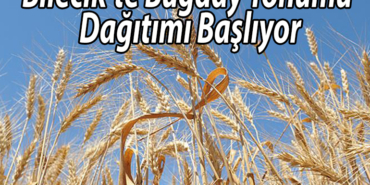 BUĞDAY TOHUMU DAĞITI MI