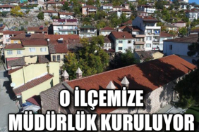 MÜDÜRLÜK 1