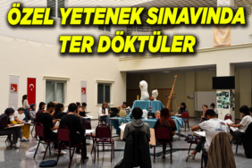 ÖZEL YETENEK