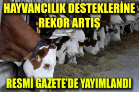 REMİ GAZETE
