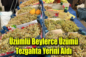 ÜZÜM MANŞET