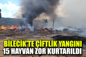 YANGIN MANŞŞŞŞŞETEETETTERDEDFD