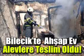 ahşap manşet