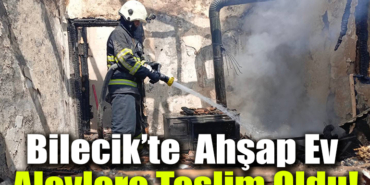 ahşap manşet