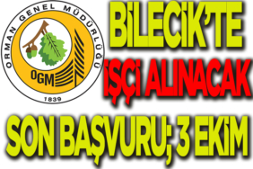 alım