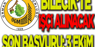 alım