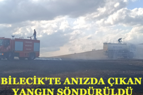 anızz