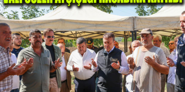 ayçiçeği manşet