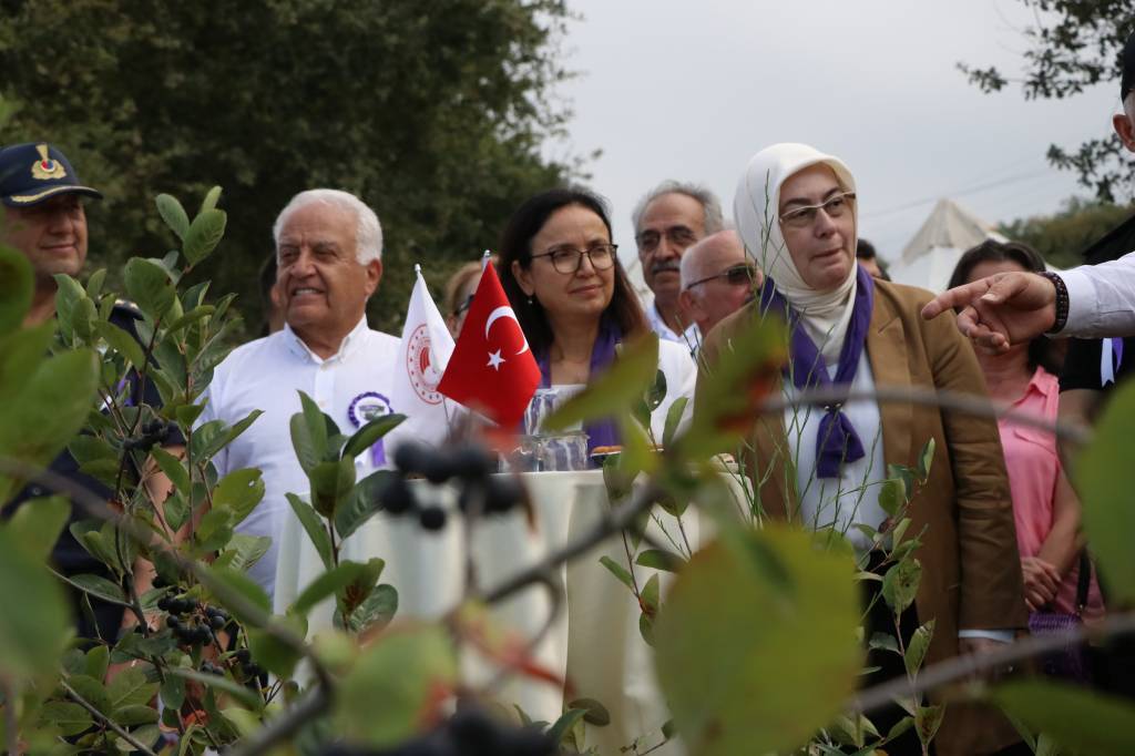 bilecik-haber_yalova-nin-cografi-isaret-belgeli-aronyasinda-hasat-basladi-95155.jpg