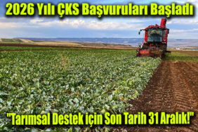 çks manşett