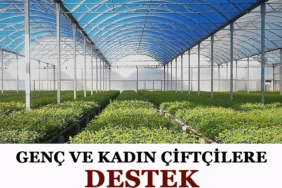 destekkk