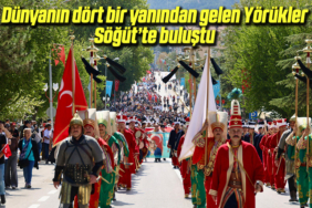 söğüt aa