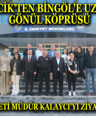 tso manşet