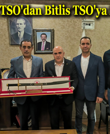 tso mnşet