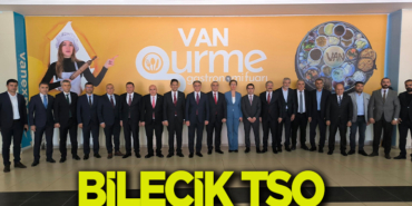 tso van
