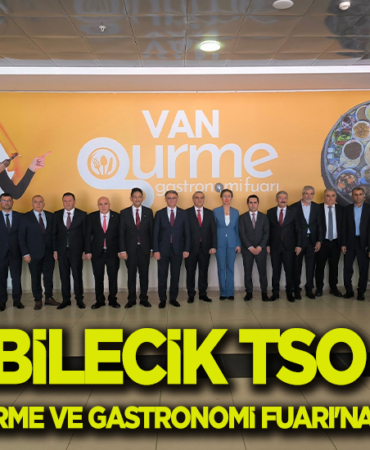 tso van