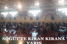yarış