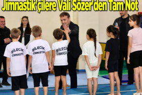 VALİİ