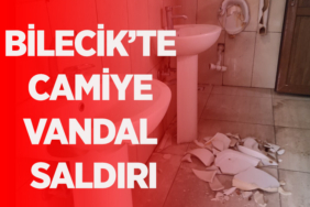 VANDAL YENİ