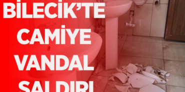 VANDAL YENİ