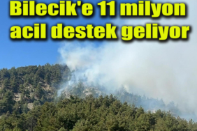acil destek