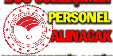 alım