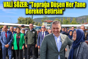 bereket manşet