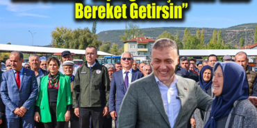 bereket manşet