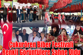 biber manşet