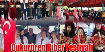 biber manşet
