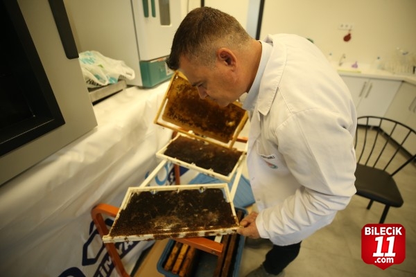 Borla üretilen doğal solüsyon arıları öldüren zararlıları yok ediyor