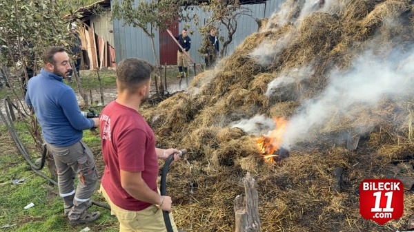 Çanakkale'de küçükbaş hayvan işletmesindeki yangın söndürüldü