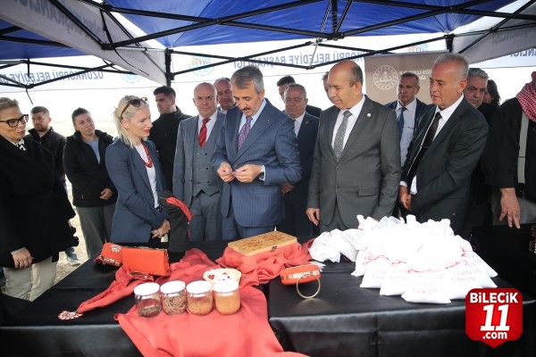 "Efsane renk" Edirne kırmızısının elde edildiği kök boya bitkisinin hasadına başlandı